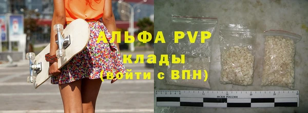 индика Баксан