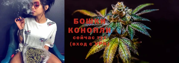 индика Баксан