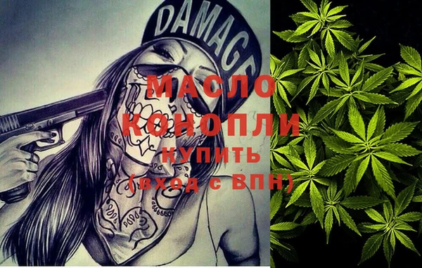 индика Баксан