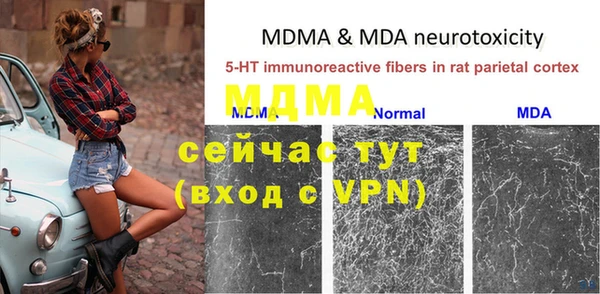 индика Баксан