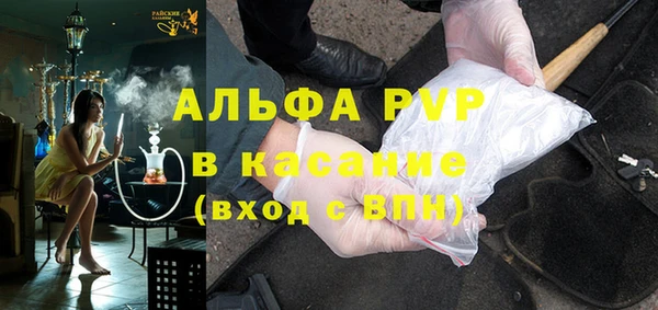 индика Баксан