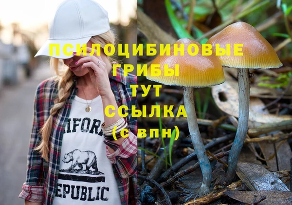индика Баксан