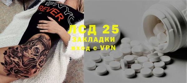 индика Баксан