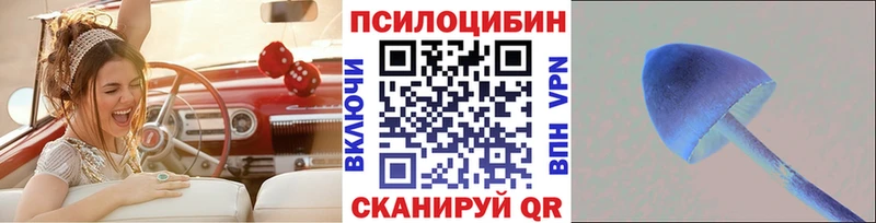 закладки  Вичуга  Псилоцибиновые грибы мицелий 